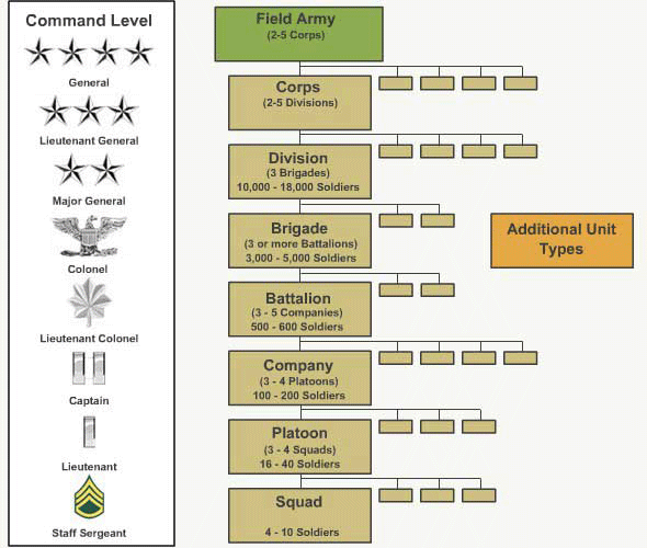I Need This To Teach US History Army Basic Training Combat Training I Need This To Teach US History Army Basic Training Combat Training