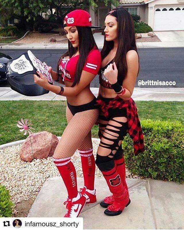 Wwe Nikki & Brie Bella | Nikki and brie bella, Nikki bella costume, Wwe costumes