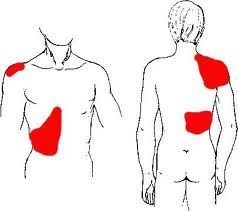 Diet plan to six pack abs image 7