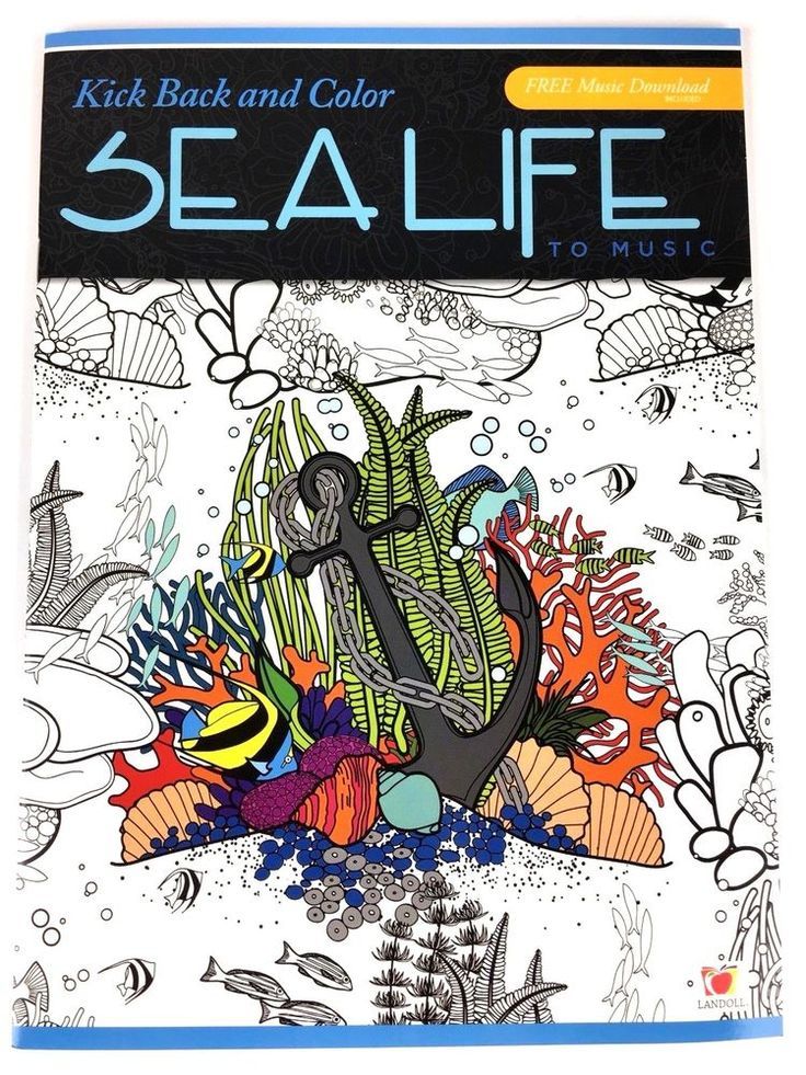 Adult Coloring Book Sealife Shells Fish Kick Back and Color Sea Life To Music