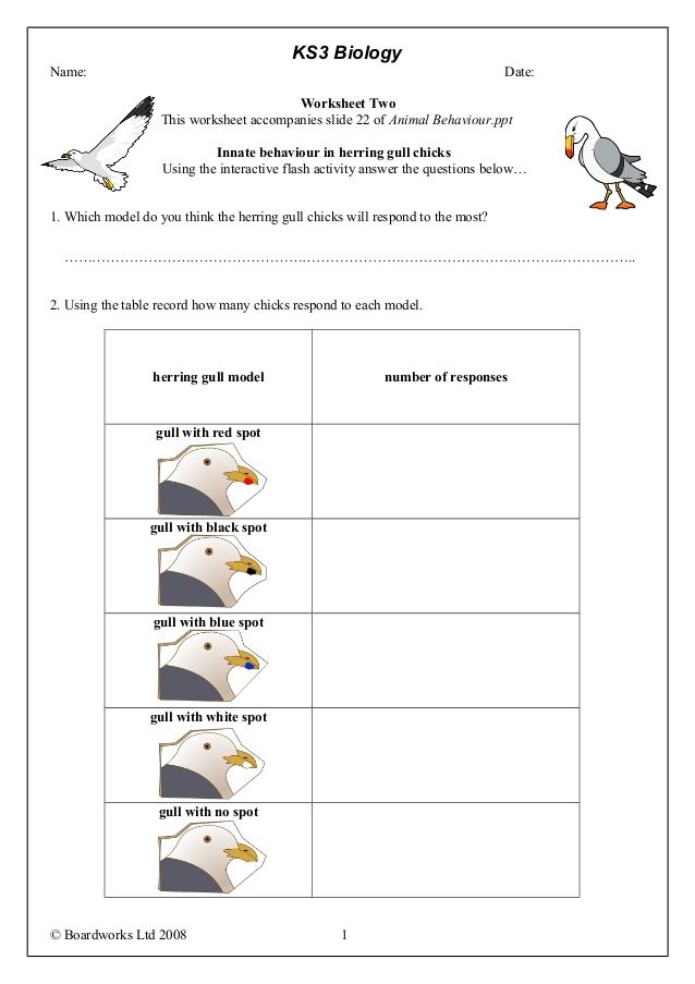 KS3 Boardworks Biology - Animal Behaviour Worksheet 2