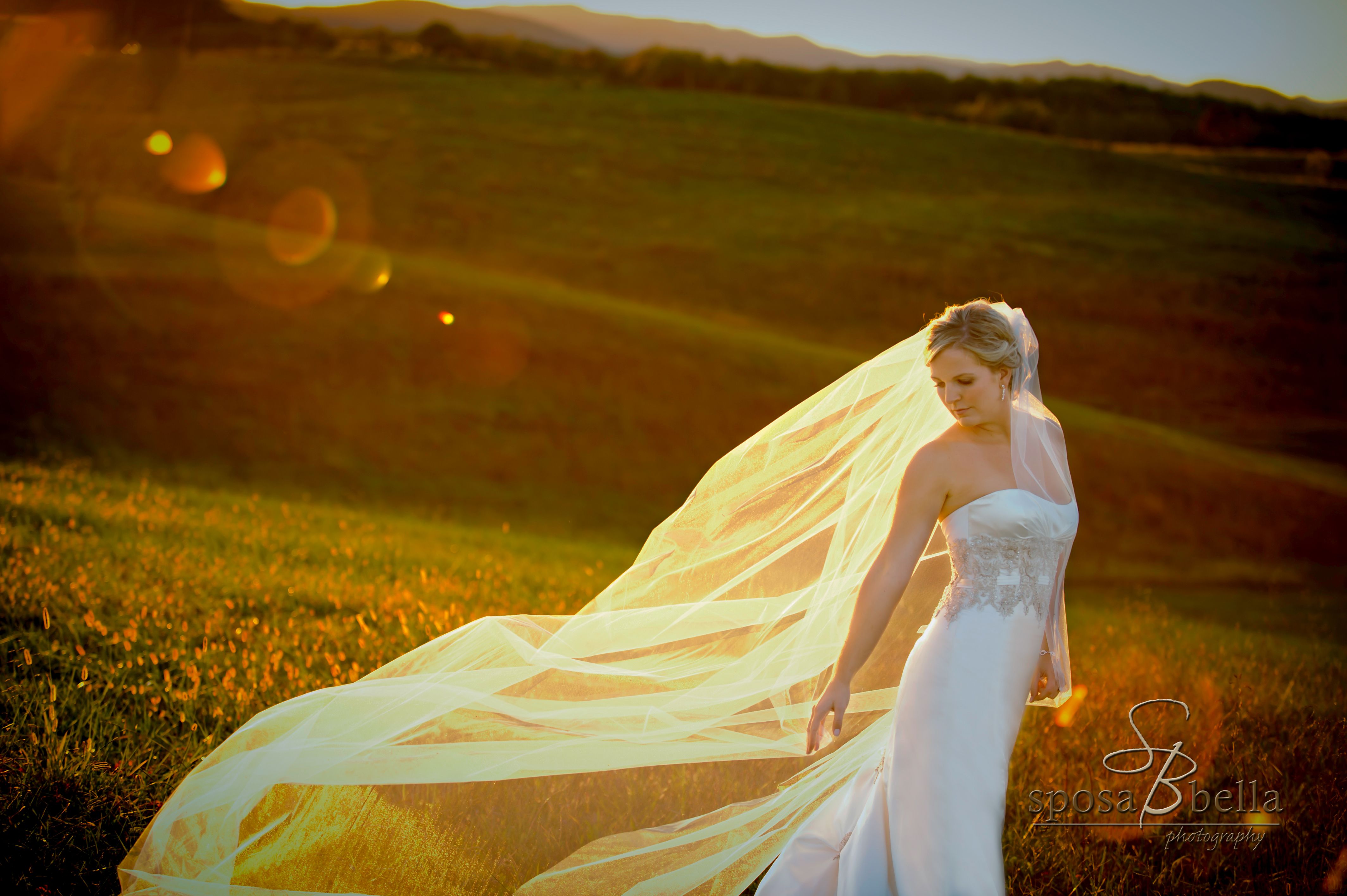 greenville sc weddings, satin wedding gown with lace embroidery, long