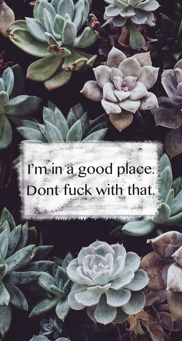 Quote Succulents I M In A Good Place Don T With That Quote Succulents I M In A Good Place Don T
