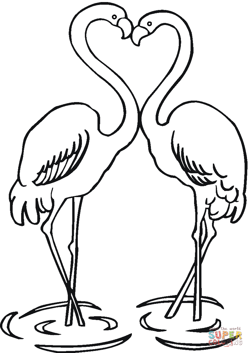Flamingo Coloring Page Flamingo coloring page, Bird coloring pages