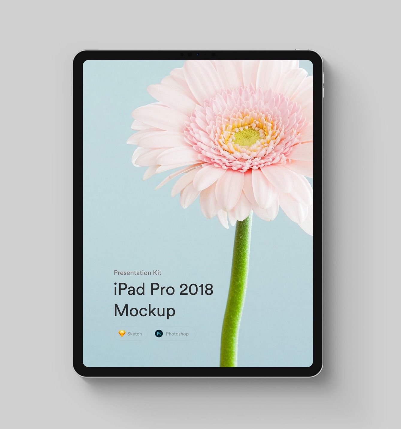 Download iPad Pro Mockups (2018) | PK | Ipad mockup psd, Web app design, Ipad mockup