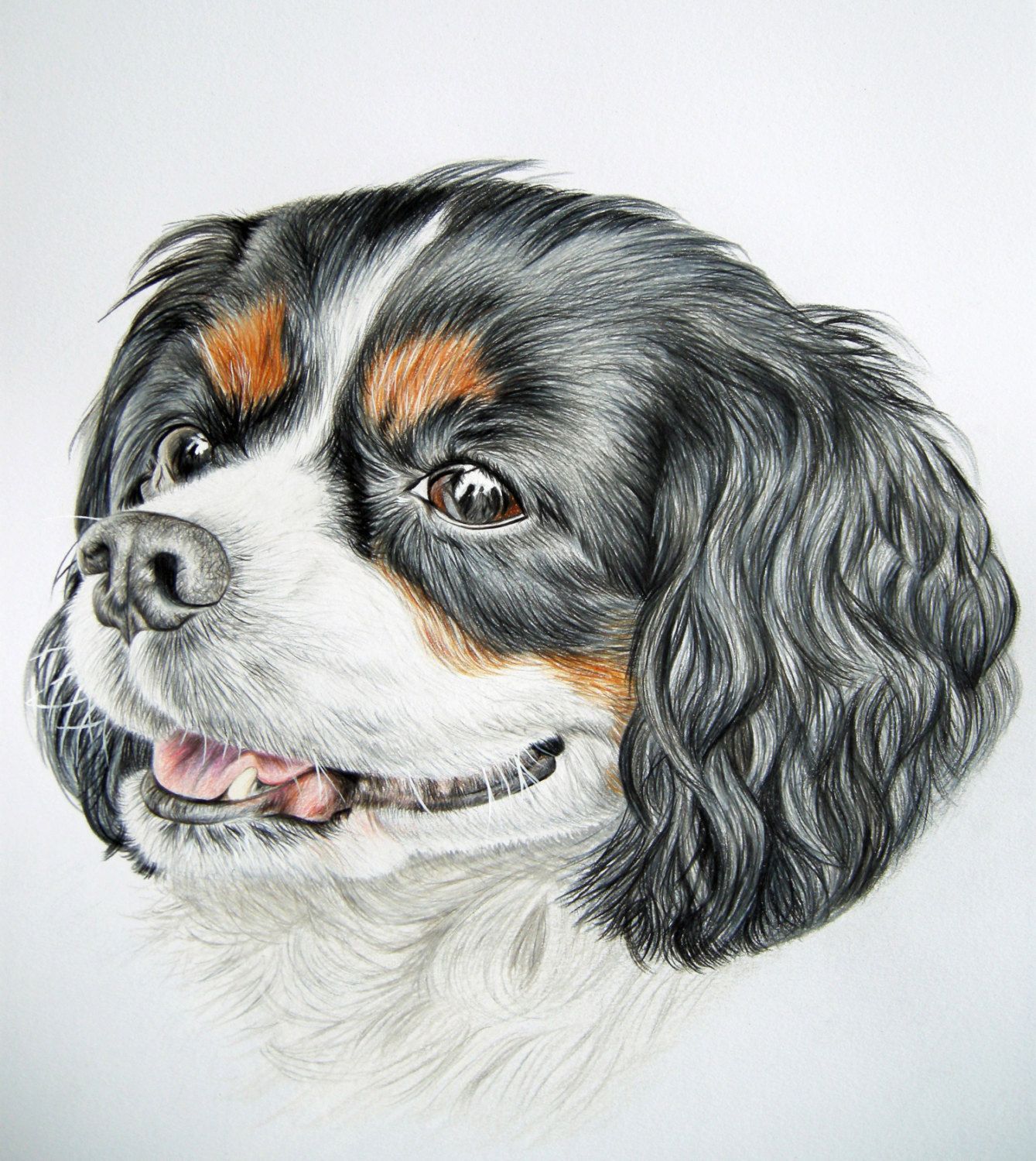 Pet portrait Custom pencil portrait pug dog pet commission