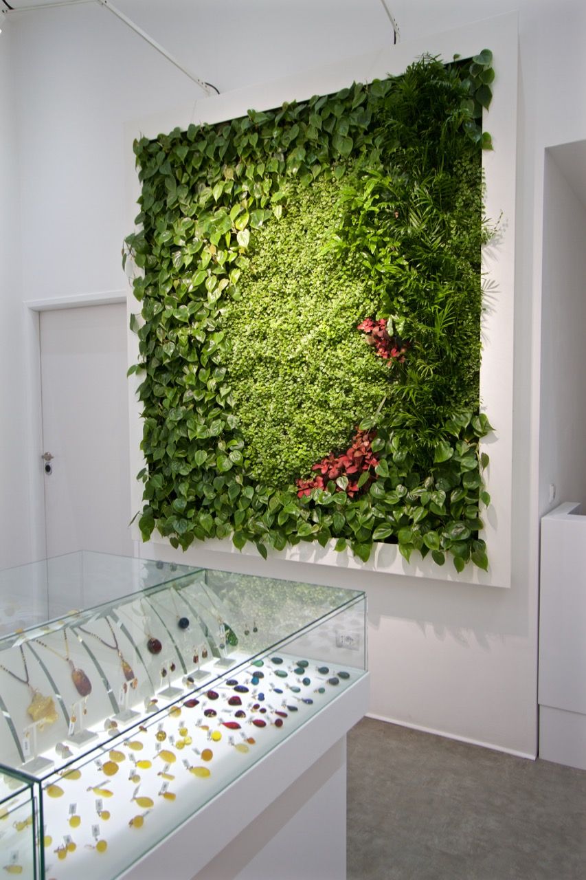 7 meravigliosi benefici del giardino verticale interno Giardino verticale interno