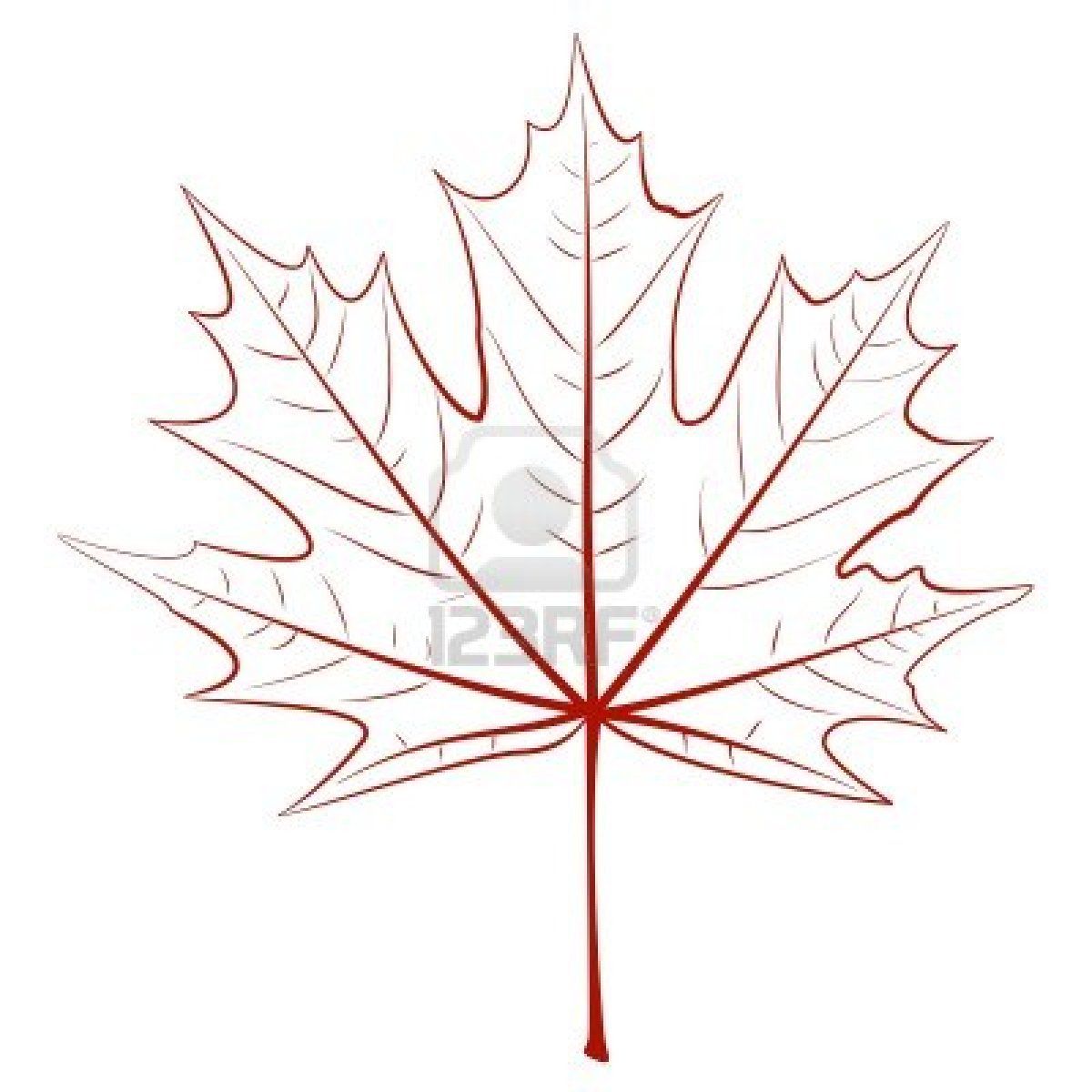 15064133graphicvectordrawingamapleleafeps10vectorjpg 400 15064133graphicvectordrawingamapleleafeps10vectorjpg 400