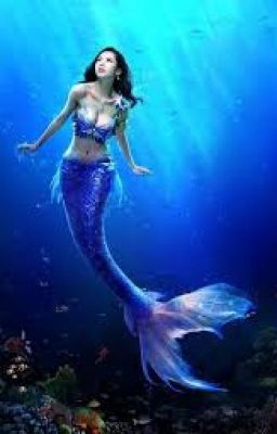 Mermaid Secrets of The Sea