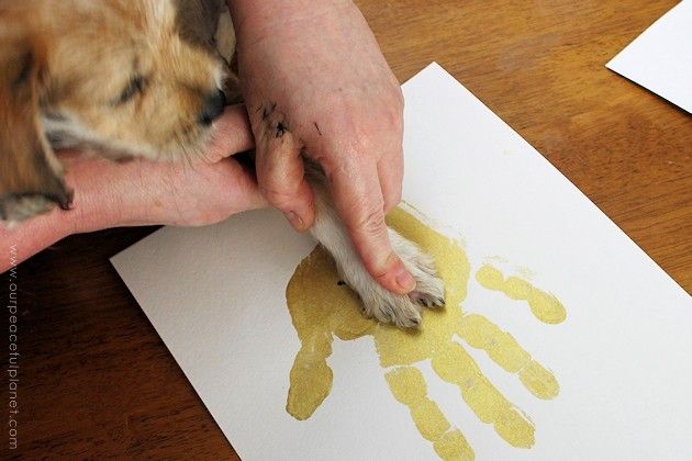 Pin By MRG On Paw Art Dog Paw Print Art Puppy Paw Prints Puppy Paws pin-by-mrg-on-paw-art-dog-paw-print-art-puppy-paw-prints-puppy-paws