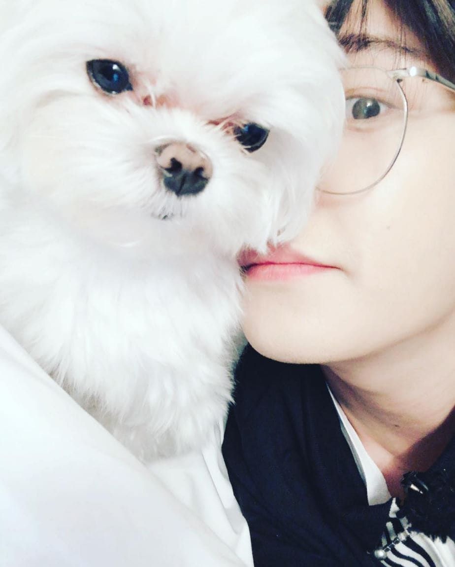 K Pop Idol Pets Who Are Almost As Famous As Their Owners Got7 Youngjae Youngjae Got7