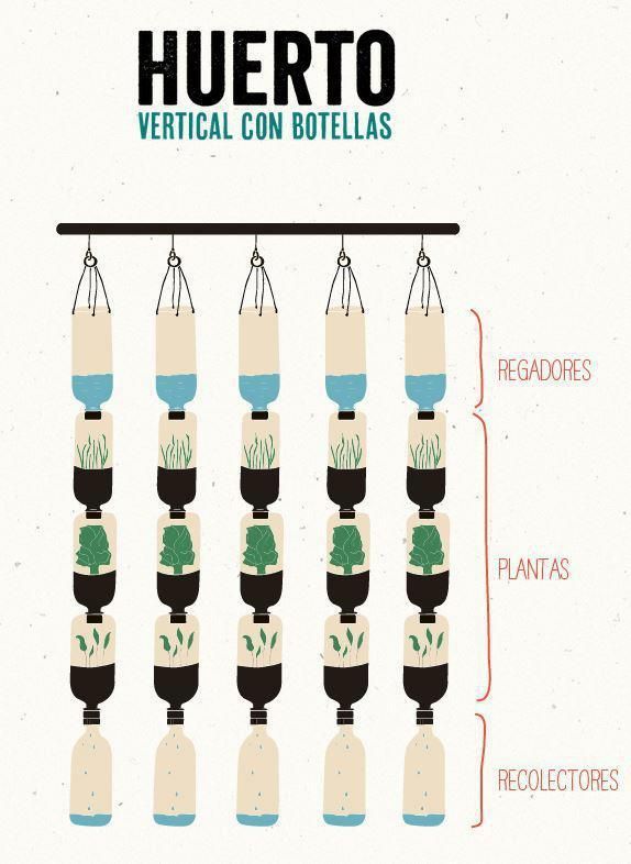 Huerto vertical para las ventanas con botellas desechables | Llamado a la Consciencia Eco Garden, Home Vegetable Garden, Urban Garden, Backyard Garden, Garden Plants, Hydroponic Gardening, Gardening Tips, Gardening Gloves, Bottle Garden