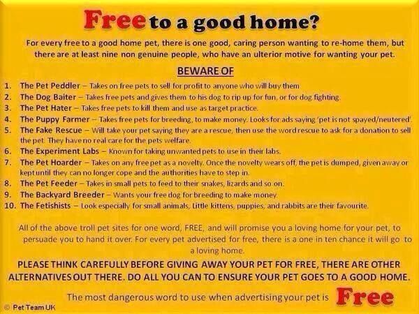 free on craigslist Fun to be one, You make me laugh, Pet sitting services free on craigslist Fun to be one, You make me laugh, Pet sitting services