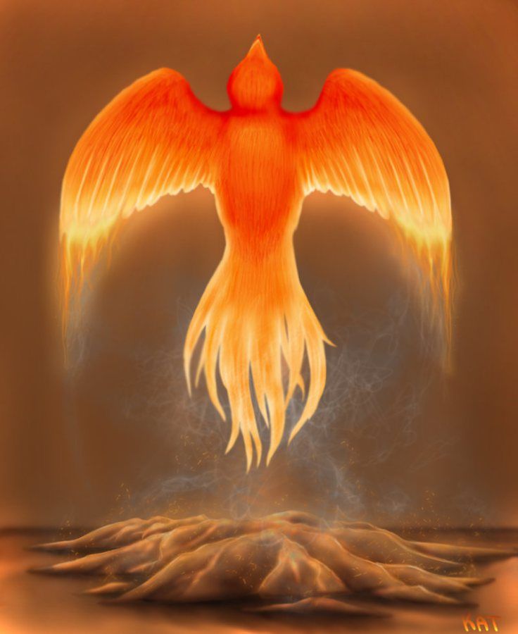 Esoteric Sacred Circle Phoenix Bird Phoenix Reborn Phoenix Rising