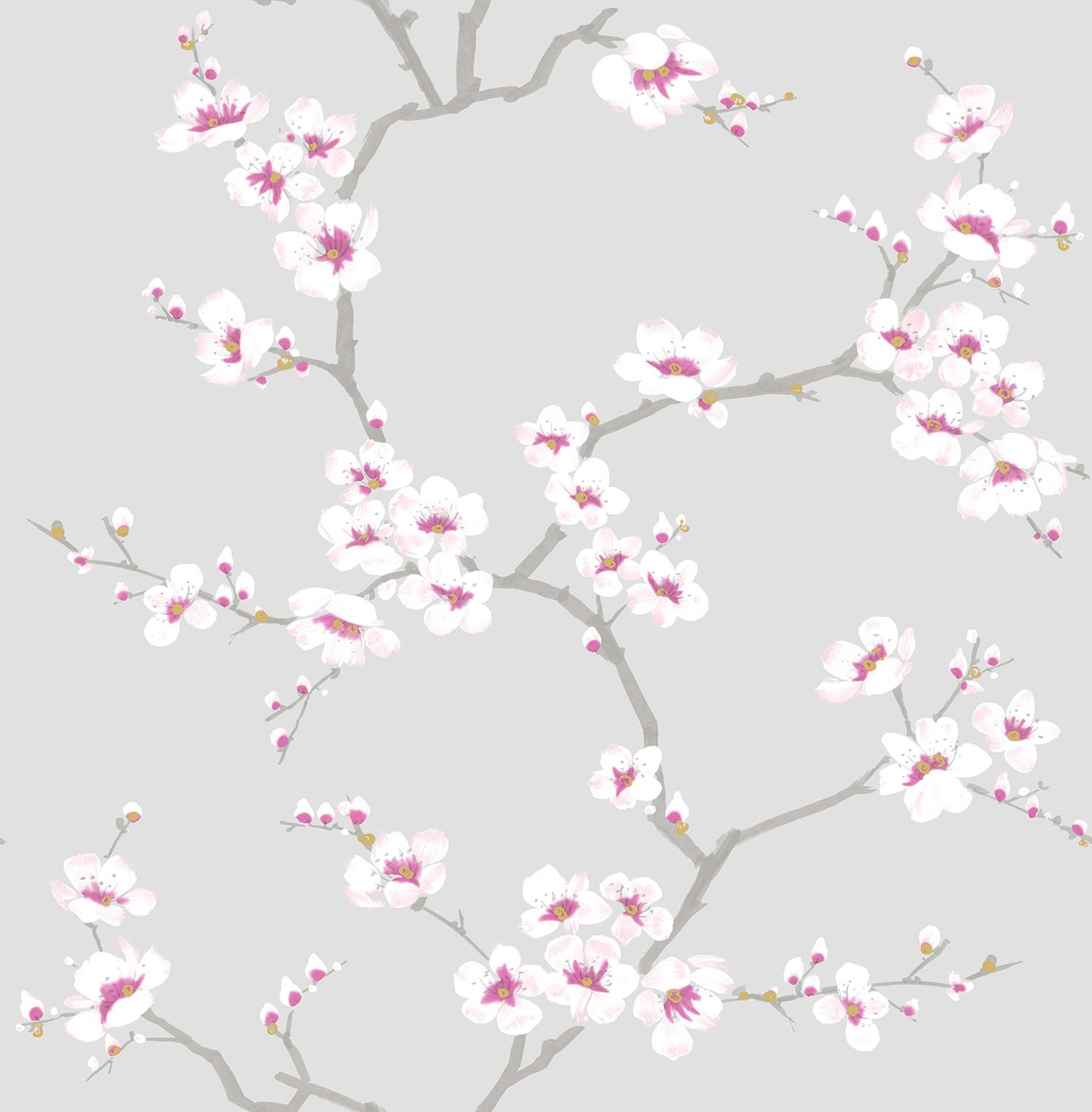 Apple Blossom Wallpaper Apple Blossom Wallpaper