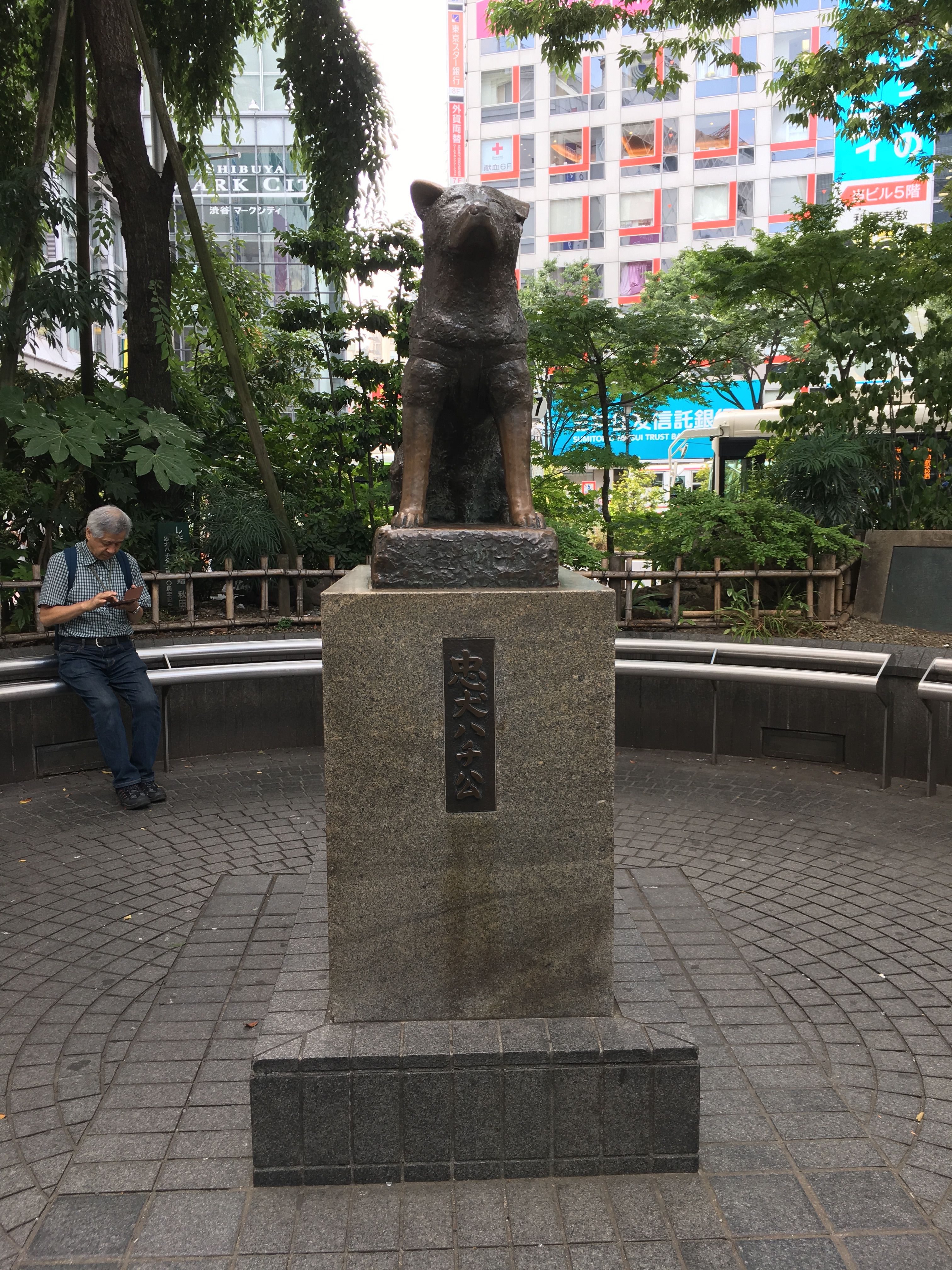 Hachiko Statue in front of Shibuya Station
Hachiko Statue At The Train Station