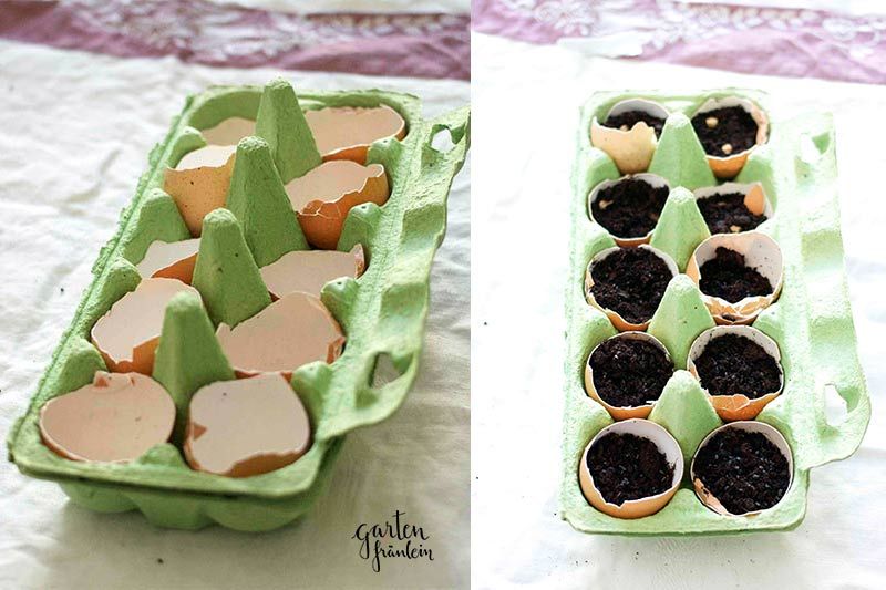 Anzuchtgefäße DIY Herb Garden Design, Vegetable Garden Design, Diy Garden, Garden Pots, Garden Fence, Culture Tomate, Narrow Garden, Seed Pots, Herb Planters