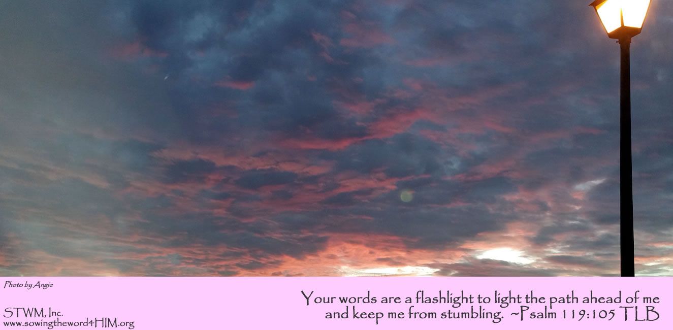Your Words Are A Flashlight To Light The Path Ahead Of Me And Keep Me your-words-are-a-flashlight-to-light-the-path-ahead-of-me-and-keep-me