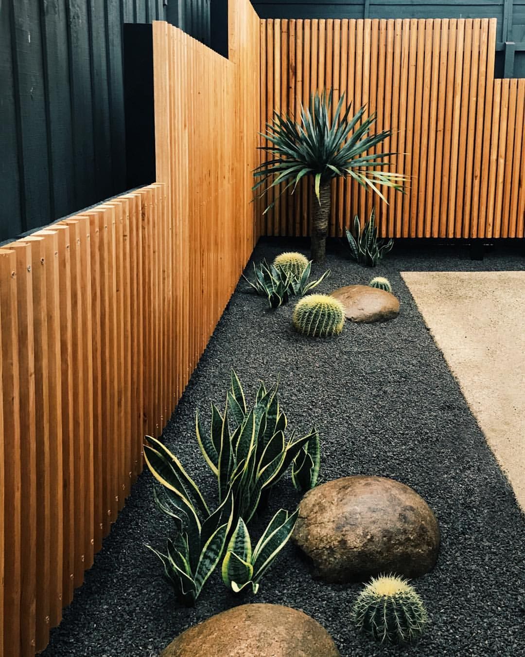 Port Phillip Landscaping on Instagram: “A little cactus garden with a @radialtimber screen = the perfect match ??”