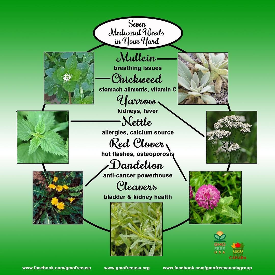 We need to more selfreliant in our use of natural