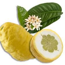 Le Cedrat Est Un Agrume Qui Ressemble A Un Gros Citron Son Ecorce