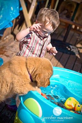 Mischief managed! Mischief Managed, Lifestyle Photographer, Jennifer, Friends, Dogs, Photography, Amigos, Photograph, Pet Dogs