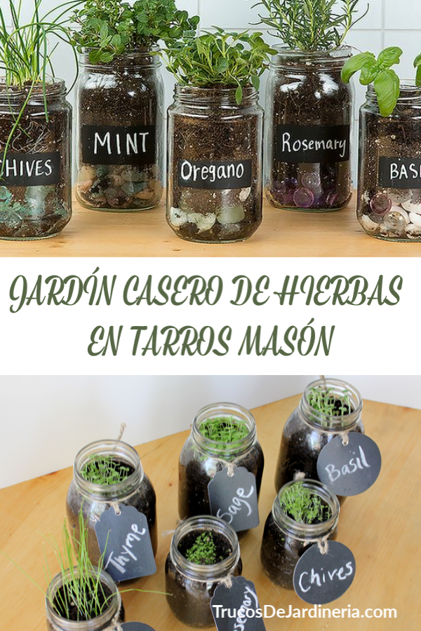 HIERBAS EN TARROS MASÓN Pot Mason Diy, Mason Jar Herbs, Mason Jar Crafts Diy, Herb Jar, Mason Jar Planter, Plants In Mason Jars, Diy Crafts, Mason Jar Succulents, Diy Pots