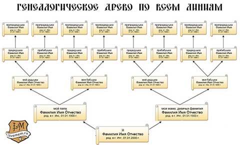 Учимся составлять родословную и рисовать генеалогическое древо Генеалогическое д