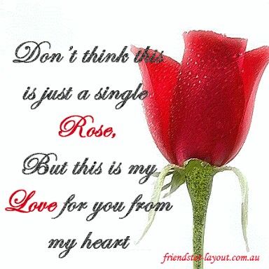 Pin By Lorenzo Santoyo On LOVE Pinterest Love Quotes Red Roses Cool Rose Quotes Love Pin By Lorenzo Santoyo On LOVE Pinterest Love Quotes Red Roses Cool Rose Quotes Love