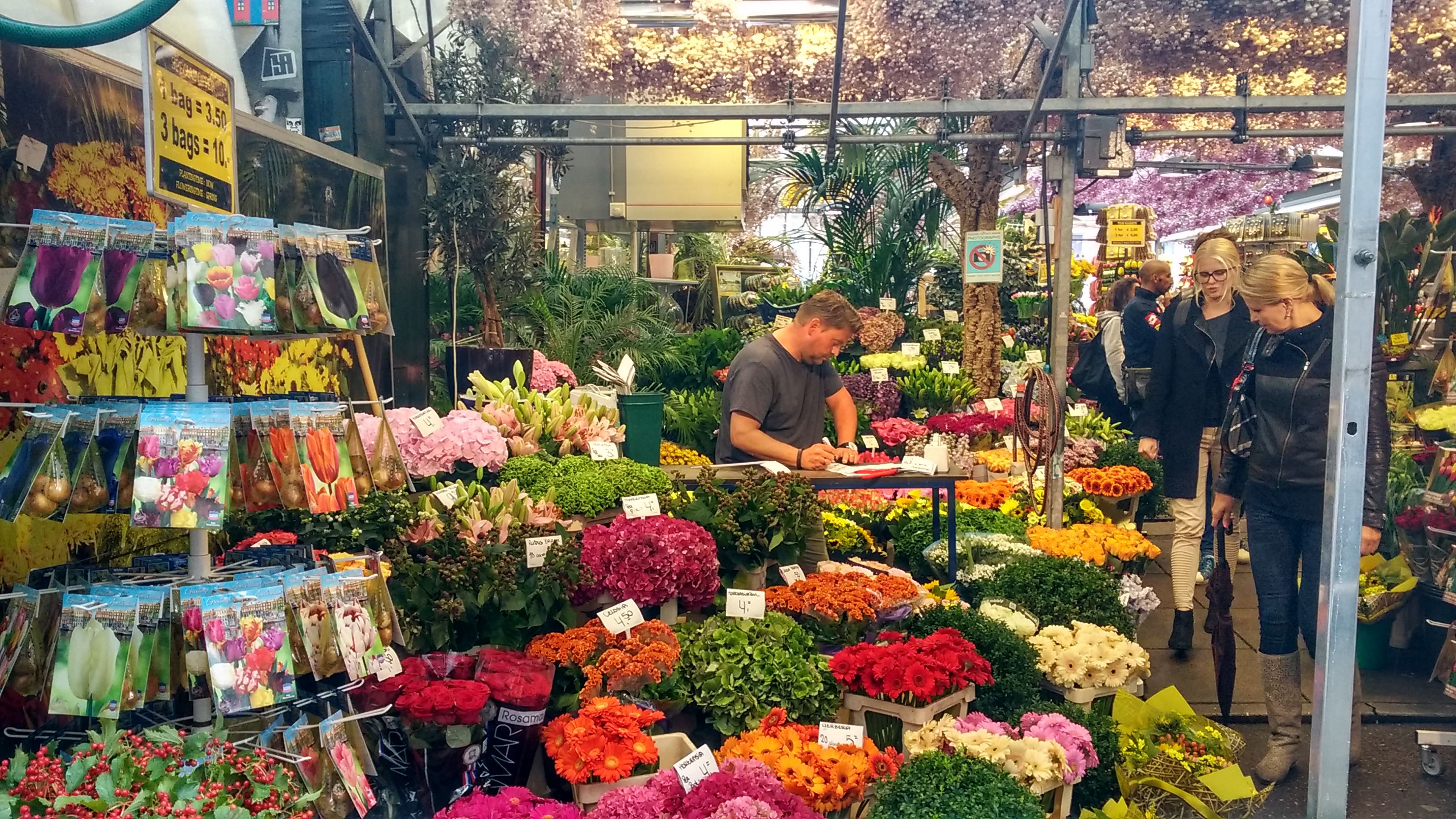 Mercado de las flores Amsterdam Mercado de las flores, Flores