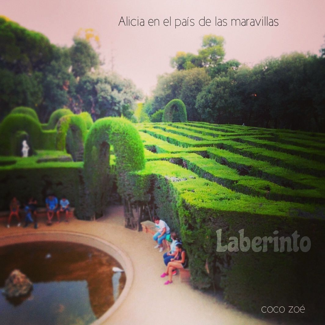 Laberinto | Laberintos, País de las maravillas y Parques