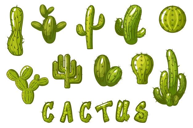Mão de cactos desenhada sobre um fundo branco | Vetor Premium Couple Cartoon Characters, Cute Couple Cartoon, Family Cartoon, Cute Cartoon, Kids Doodles, Kawaii Doodles, Alpacas, Cactus Cartoon, Cactus Illustration