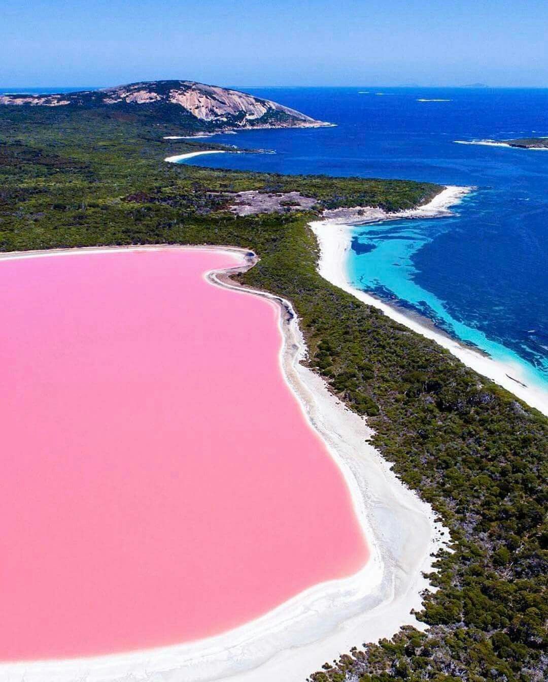 Pink Salt Lake Western Australia Photo By Salty Wings Amazing Pink Salt Lake Western Australia Photo By Salty Wings