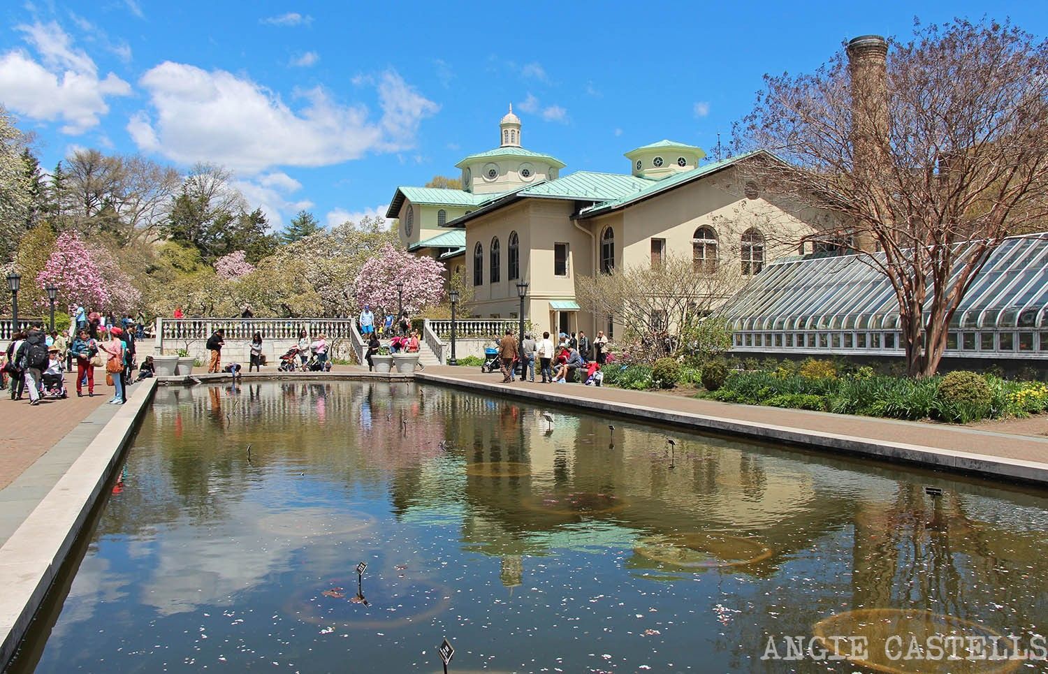 Jardin Botanico Del Bronx Jardin Botanico Del Bronx