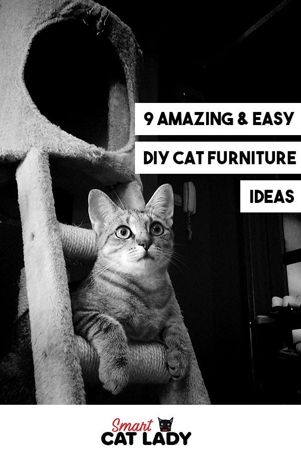 Easy diy cat house