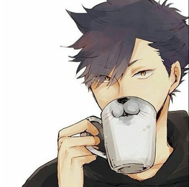 Kuroo Haikyuu, Kagehina, Kuroo Tetsurou, Haikyuu Anime, Awesome Anime