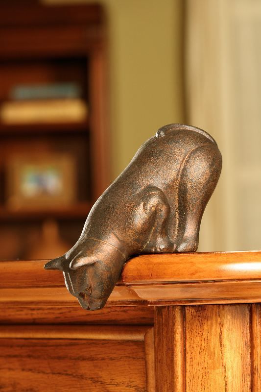 photo Cat Shelf Sitters With Dangling Legs pin on cat shelves