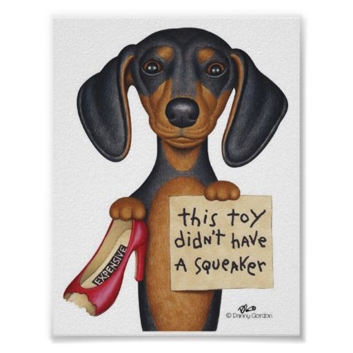 Pin Em Doxie Love