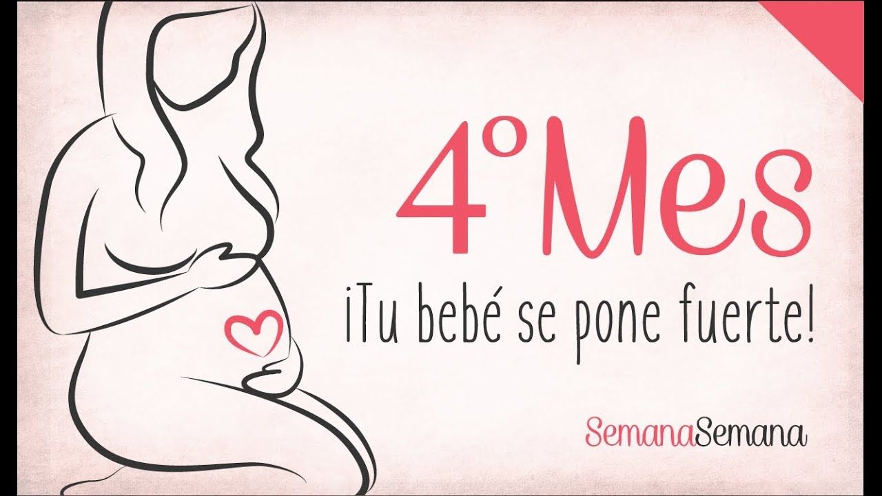 Mes 4 de embarazo. Cuarto mes de embarazo Segundo trimestre. Es el ... Mes 4 de embarazo. Cuarto mes de embarazo Segundo trimestre. Es el ...