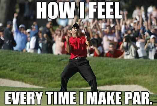 the best golf memes funny pinterest golf, memes and golf humor 05a3c81c4432f6645deba21a028da088 the best golf memes funny pinterest golf, memes and golf humor