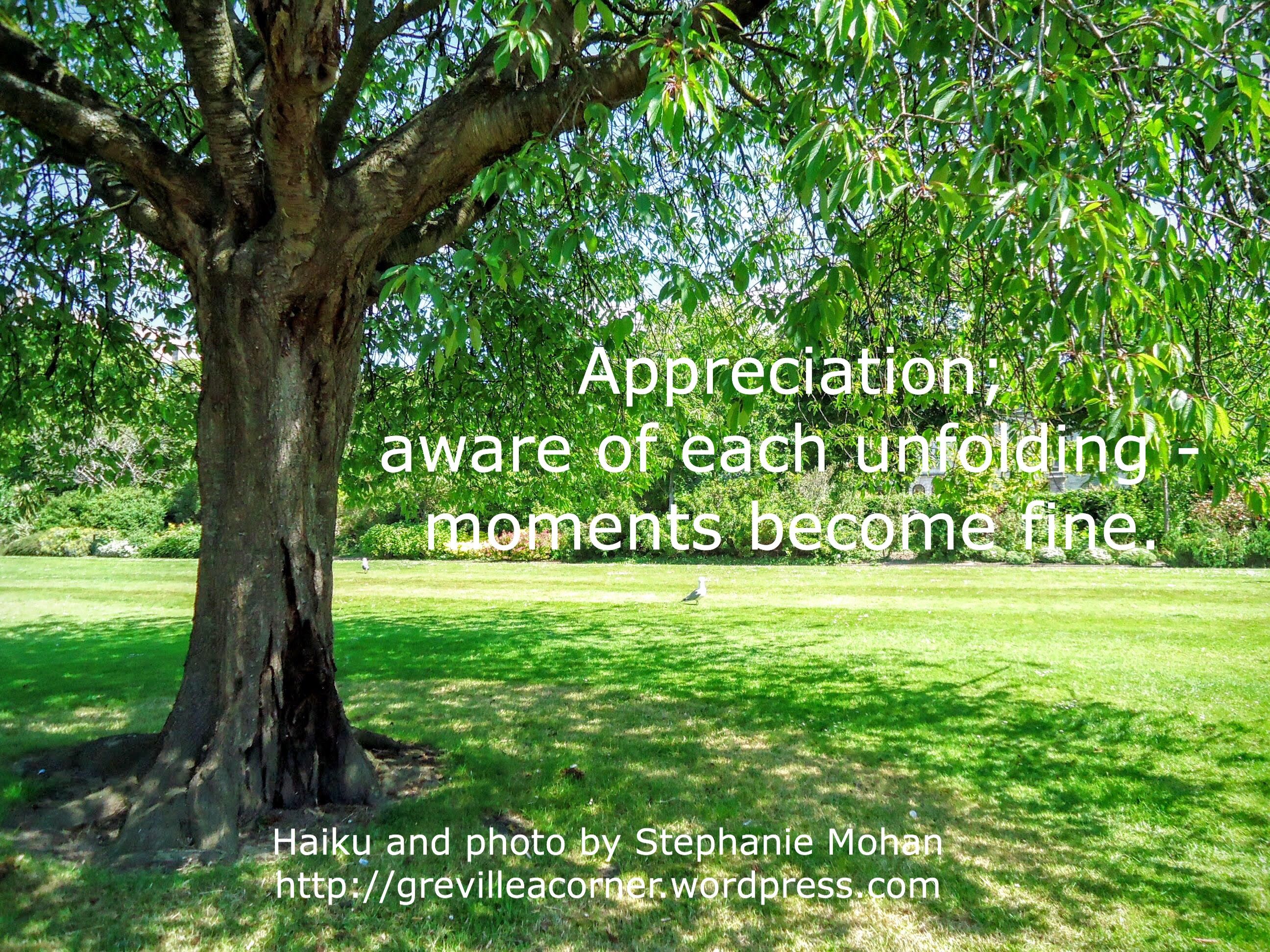 Appreciation; aware of each unfolding - moments become fine. Haiku and photo for meditation and reflection by Stephanie Mohan - September 2015 Haiku, Buddhist, Stephanie, Quiet, Reflection, Appreciation, Insight, Meditation, September