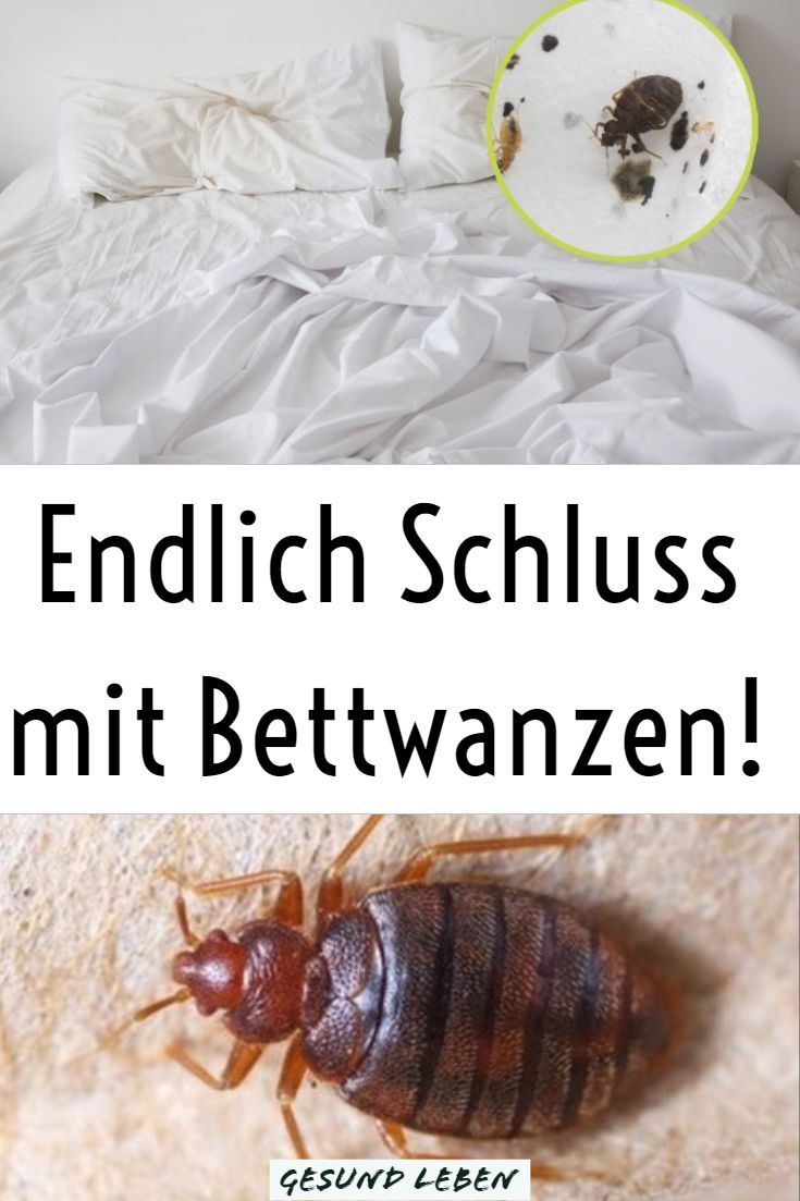 Die Abräumer - Mit Tricks Zum Glück Die Abräumer - Mit Tricks Zum Glück