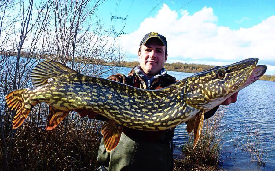 Incredibly patterned European Northern Pike an exceptional fish