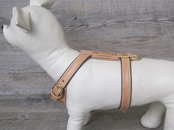 Tan Leather Y Front Dog Harness Fully Adjustable For Small And