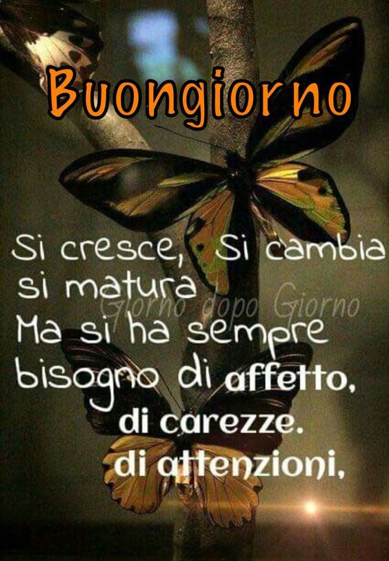 Buongiorno Il Poeta Dei Sogni Buongiorno Il Poeta Dei Sogni
