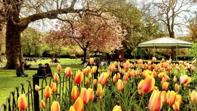 6 Stunning Images of Ireland in Spring | Images of ireland, Dublin city, Ireland in spring