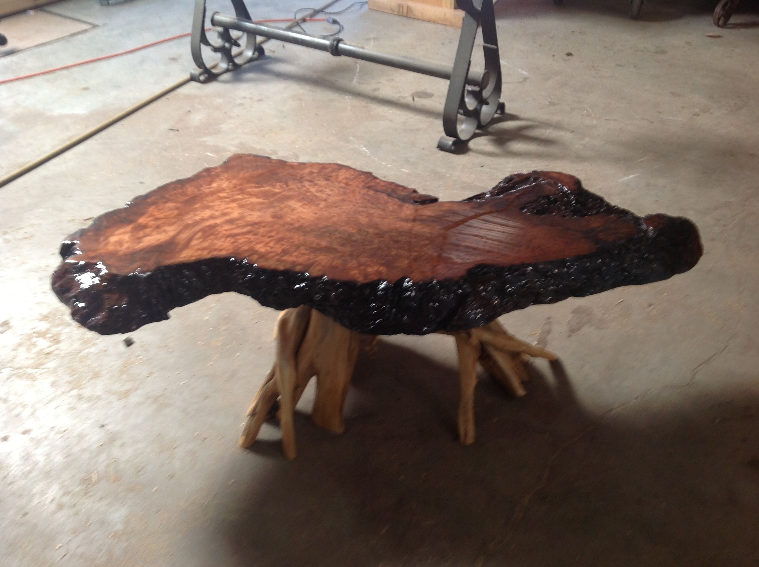 Redwood Burl Slab With Lots Of Bird Eyes On Cedar Stump High Gloss Redwood Burl Slab With Lots Of Bird Eyes On Cedar Stump High Gloss