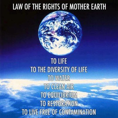 Mother earth essay