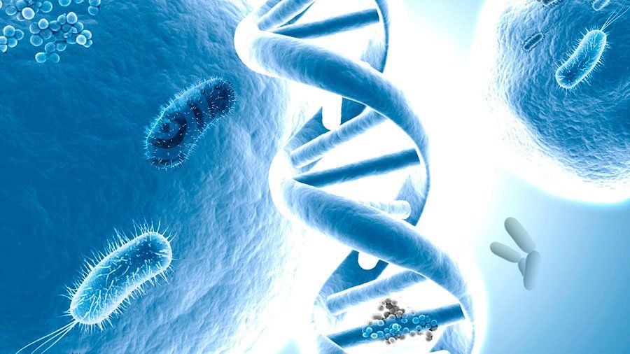BIOTECNOLOGIA SI (@BIOTECH_SI) | Twitter | 3d art gallery ...