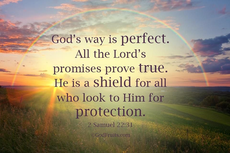 2 Samuel 22 31 ESV 31 This God his Way Is Perfect The Word Of The 2-samuel-22-31-esv-31-this-god-his-way-is-perfect-the-word-of-the